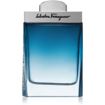 Ferragamo Subtil Pour Homme Eau de Toilette pentru bărbați - imagine 2